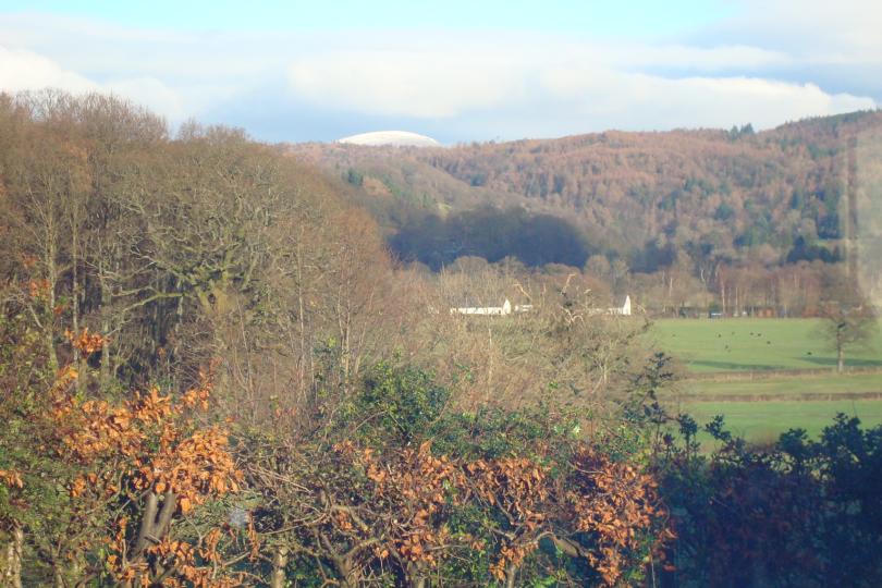 A picture of the woodlands visible from the rear of Becks Fold.